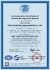 চীন China Chips Star Semiconductor Co., Ltd. সার্টিফিকেশন